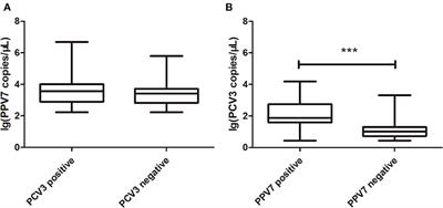 High Co-infection Status of Novel Porcine Parvovirus 7 With Porcine Circovirus 3 in Sows That Experienced Reproductive Failure